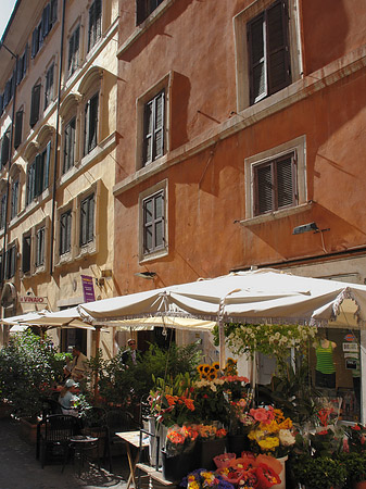 Foto Blumen in der Altstadt - Rom