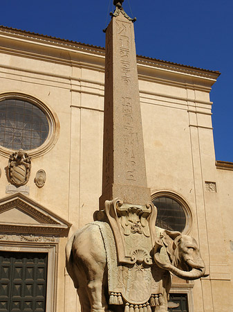 Elefant von Bernini Fotos