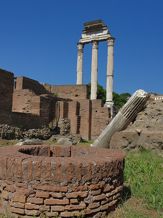 Foto Brunnen vor dem Dioskurentempel - Rom