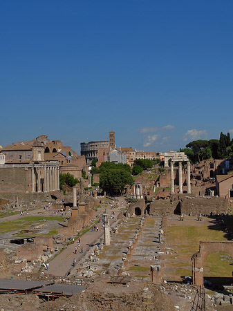 Forum Romanum Fotos