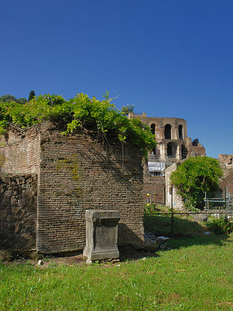 Steine im Forum Romanum Foto 
