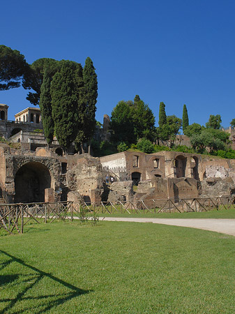 Fotos Weg ins Forum Romanum | Rom