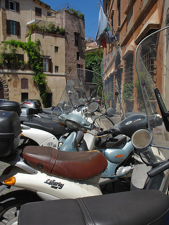 Fotos Mofa in Rom | Rom