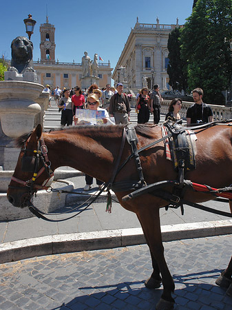 Pferdekutsche vor dem Kapitol Foto 