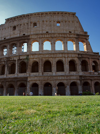 Wiese vor dem Kolosseum