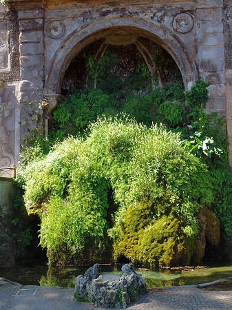 Foto Farnesische Gärten - Rom