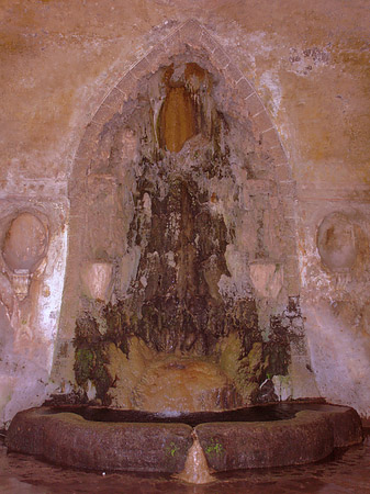 Fotos Kalksteinbrunnen am Palatin