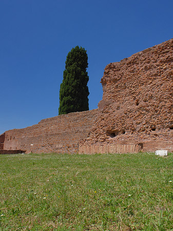 Foto Palatin - Rom
