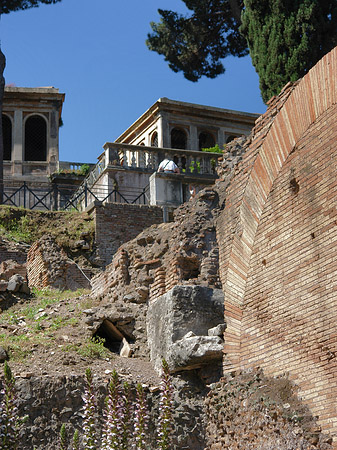Foto Ruinen auf dem Palatin Hügel - Rom