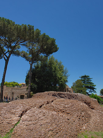 Foto Ruinen auf dem Palatin Hügel