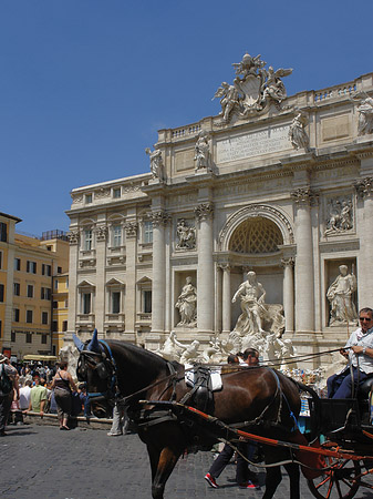 Fotos Pferdekutsche vor dem Brunnen | Rom