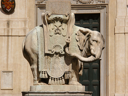 Elefant von Bernini Fotos