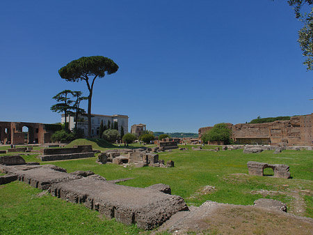 Fotos Domus Augustana und das Museo Palatino