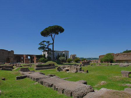 Foto Domus Augustana und das Museo Palatino - Rom