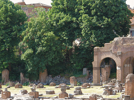 Basilica Iulia Fotos