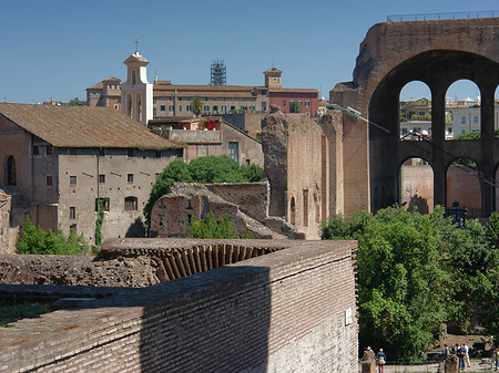 Fotos Blick auf das Forum Romanum