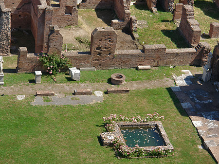 Blick auf das Forum Romanum Foto 