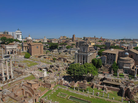 Blick auf das Forum Romanum