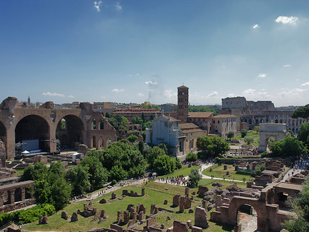 Blick auf das Forum Romanum Fotos