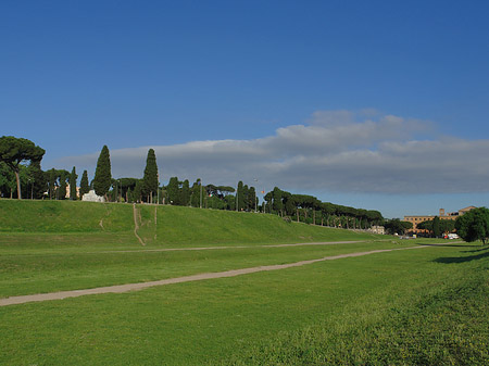 Circus Maximus