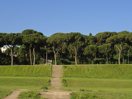 Circus Maximus Foto 