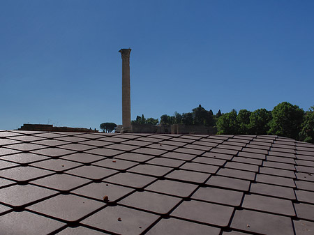 Dach am Forum Romanum Fotos