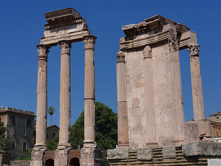 Dioskuren und Vesta Tempel