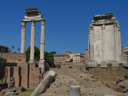 Fotos Dioskuren und Vesta Tempel | Rom