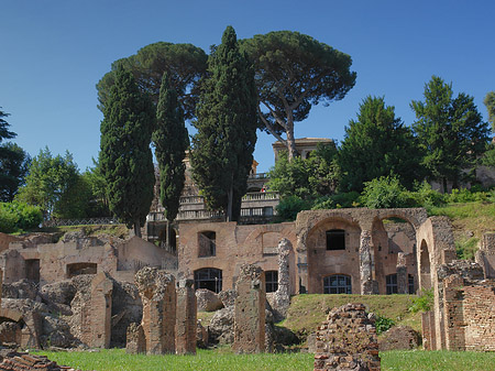 Forum Romanum