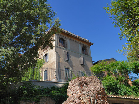 Foto Forum Romanum - Rom