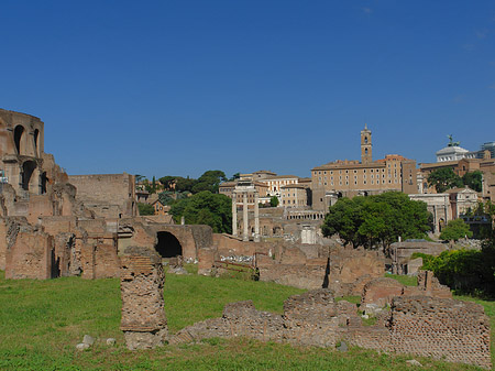 Fotos Forum Romanum | Rom