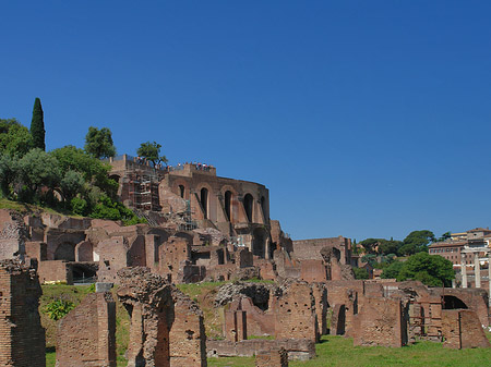 Fotos Forum Romanum | Rom