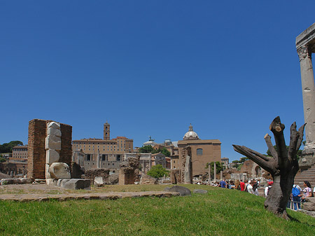 Forum Romanum Foto 