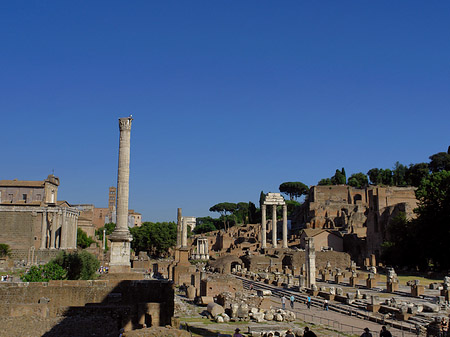 Phokassäule mit Säulen des Dioskurentempels Fotos