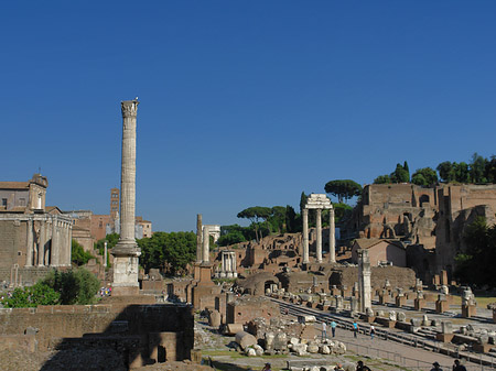 Phokassäule mit Säulen des Dioskurentempels Fotos