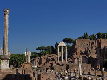 Foto Phokassäule mit Säulen des Dioskurentempels