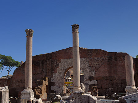 Fotos Säulen im Forum Romanum | Rom