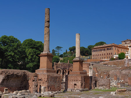 Fotos Säulen im Forum Romanum