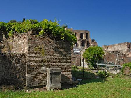 Fotos Steine im Forum Romanum | Rom