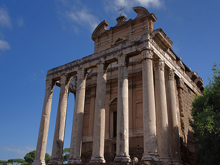 Foto Tempel des Antoninus Pius und der Faustina
