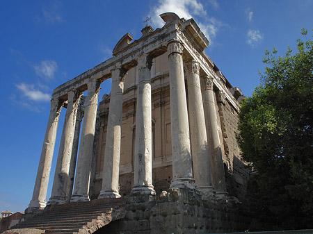 Tempel des Antoninus Pius und der Faustina