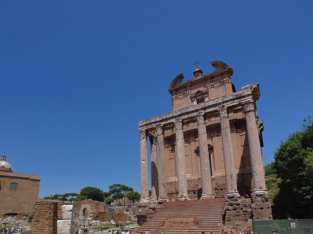 Tempel des Antoninus Pius und der Faustina Fotos