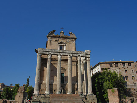 Fotos Tempel des Antoninus Pius und der Faustina