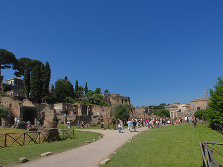 Fotos Weg ins Forum Romanum | Rom