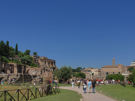 Fotos Weg ins Forum Romanum | Rom
