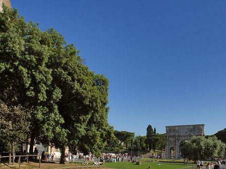 Foto Konstantinsbogen mit Bäumen