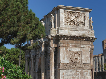 Foto Konstantinsbogen mit Bäumen