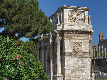 Konstantinsbogen mit Bäumen Fotos