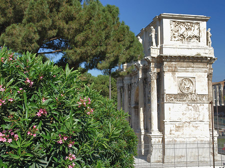 Konstantinsbogen mit Bäumen