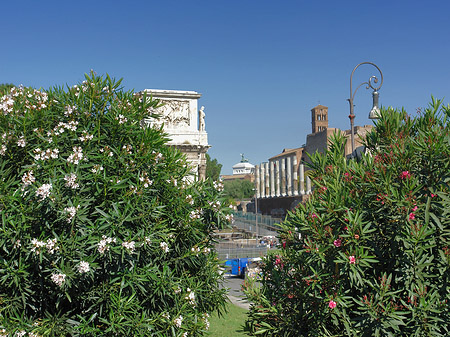 Konstantinsbogen mit Bäumen Foto 
